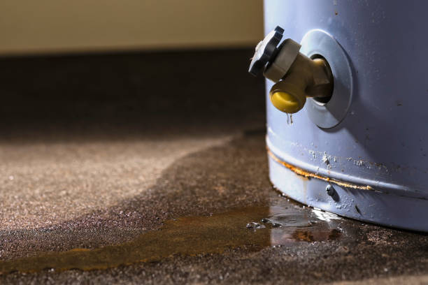 Best Sewage cleanup and water damage restoration  in De Soto, IL