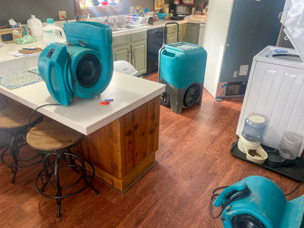 Best Local water damage restoration  in De Soto, IL