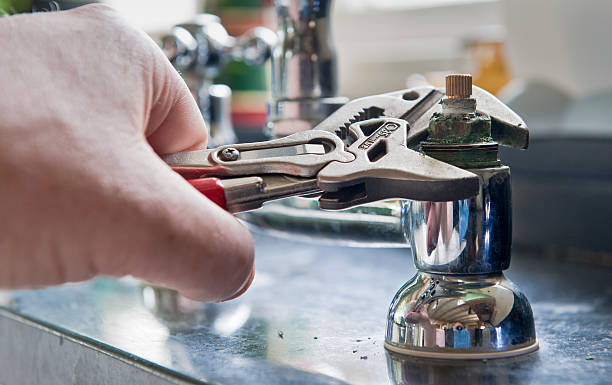 Best Fire Damage Restoration  in De Soto, IL