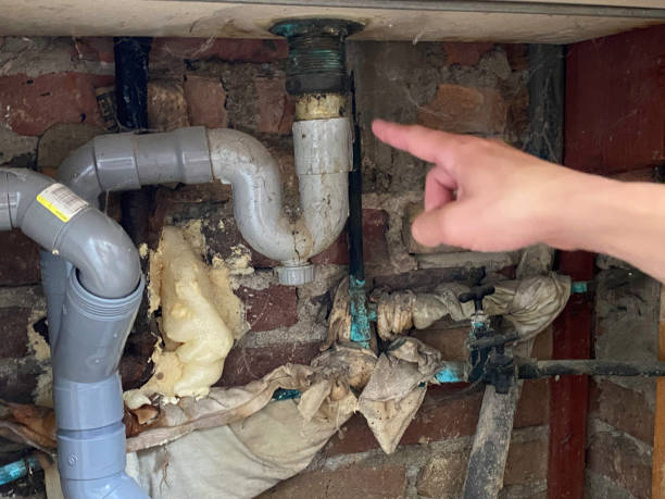 Best Professional water damage repair  in De Soto, IL